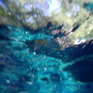 Meet your Posher, Ana